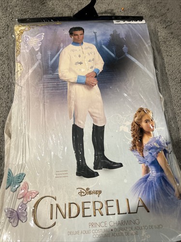 Costume principe azzurro - costume,